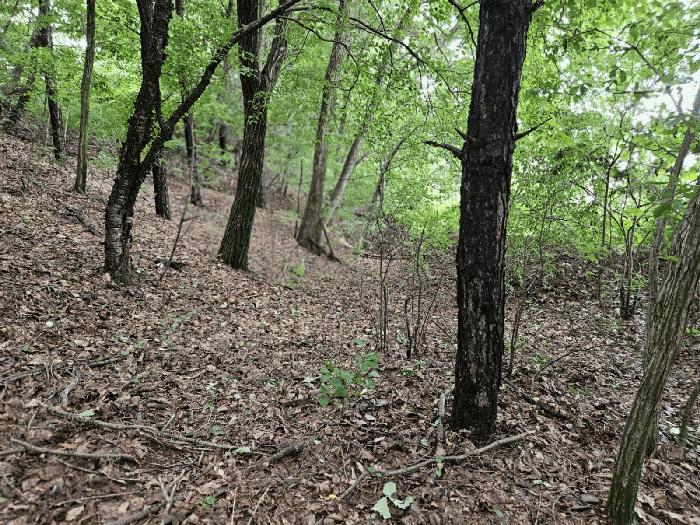 경기 여주시 연라동 산50-5 임야 사진 4