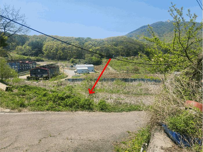 법원경매 2025타경1999 사진3 | 파주시 법원읍 웅담리 대지,임야,전답 경매