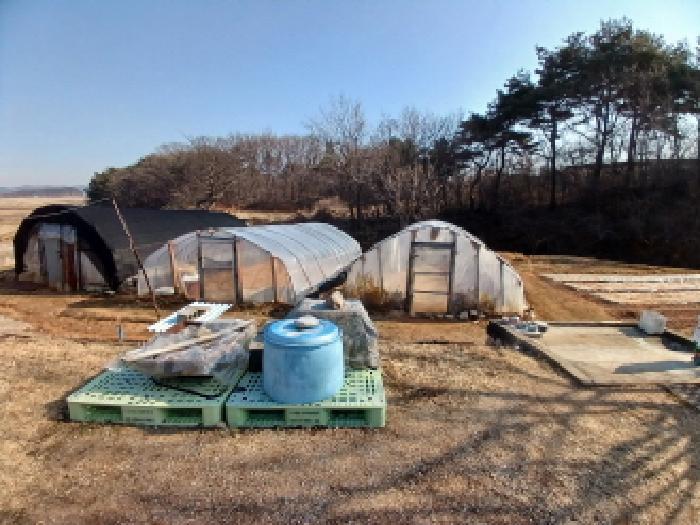 2025타경87 법원경매 사진7 | 충남 서산시 임야 경매