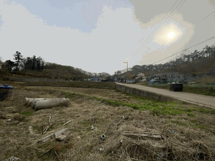 법원경매 2025타경55323 사진2 | 용인시 처인구 양지면 정수리 204-3 답 경매