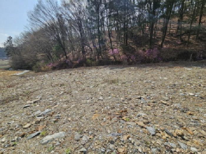 법원경매 2025타경55323 사진7 | 용인시 처인구 양지면 정수리 204-3 답 경매
