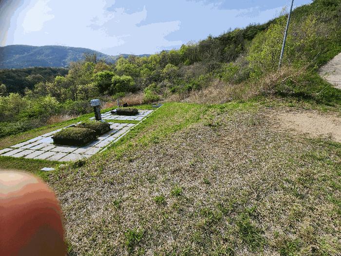 경상북도 청송군 부남면 감연리 산8-1 법원경매 물건 대표사진