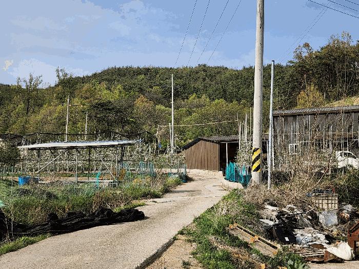 법원경매 2025타경247 사진2 | 청송군 부남면 감연리 임야 경매