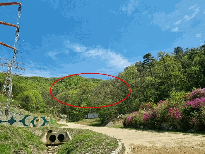 법원경매 2025타경55478 사진3 | 용인시 처인구 남사읍 방아리 임야 경매