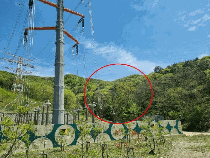 법원경매 2025타경55478 사진4 | 용인시 처인구 남사읍 방아리 임야 경매