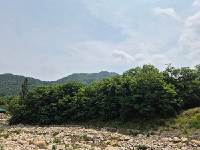 법원경매 2025타경10197 사진9 | 대구 군위군 부계면 대율리 330 답 경매