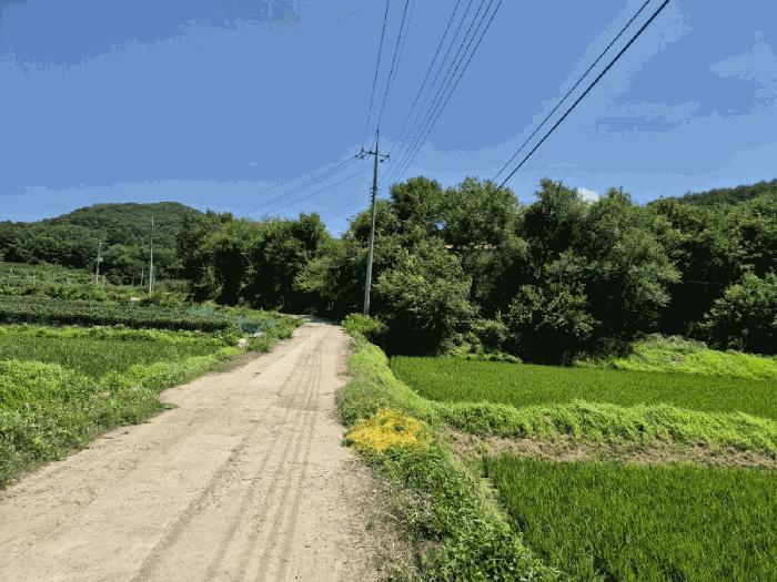 경상북도 의성군 봉양면 길천리 1063 법원경매 물건 대표사진