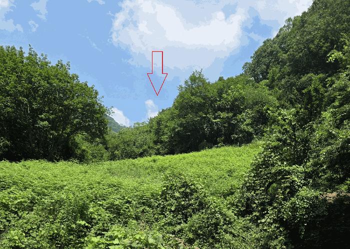 경상북도 의성군 옥산면 오류리 438 법원경매 물건 대표사진