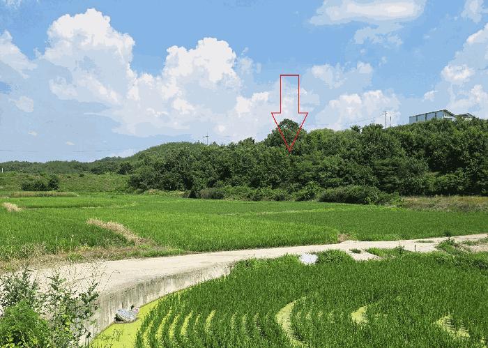 2025타경10227 법원경매 사진9 | 경북 의성군 답 경매
