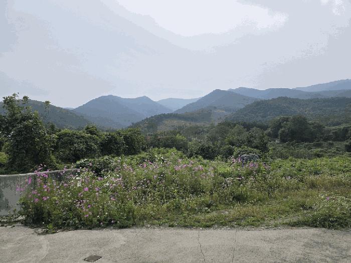 법원경매 2025타경1142 사진7 | 칠곡군 가산면 학상리 35-1 전 경매