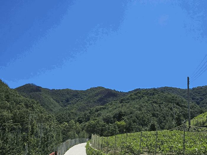 경상북도 의성군 옥산면 감계리 산36 법원경매 물건 대표사진