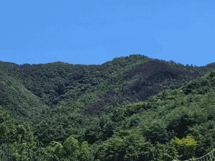 법원경매 2025타경10237 사진2 | 의성군 옥산면 임야 경매