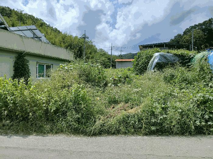 경상북도 김천시 남면 송곡리 110 법원경매 물건 대표사진