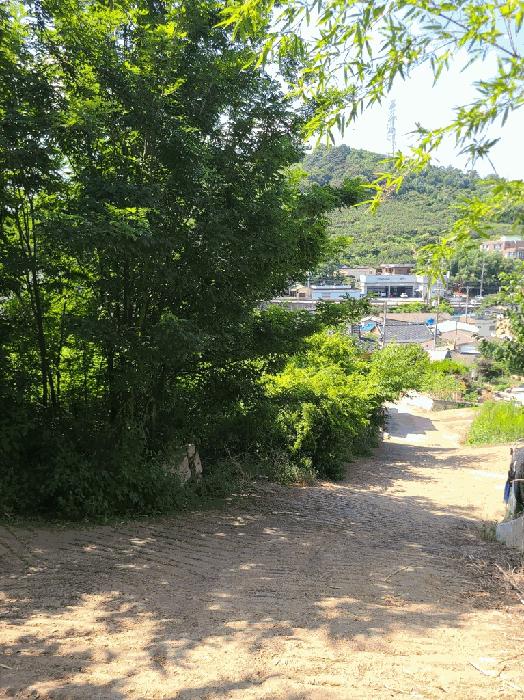 경상남도 김해시 진영읍 설창리 466-3 법원경매 물건 대표사진