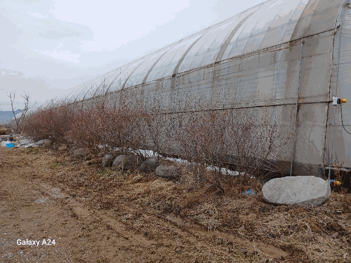 전남 화순군 도곡면 효산리 1328-2 답 사진 3