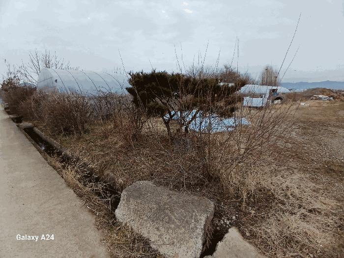 전남 화순군 도곡면 효산리 1328-2 답 사진 6