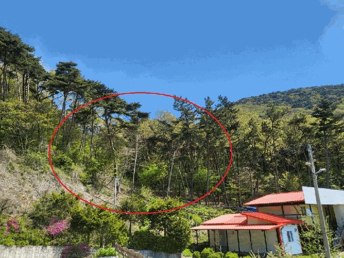 2025타경508711 법원경매 사진5 | 인천 옹진군 임야 경매