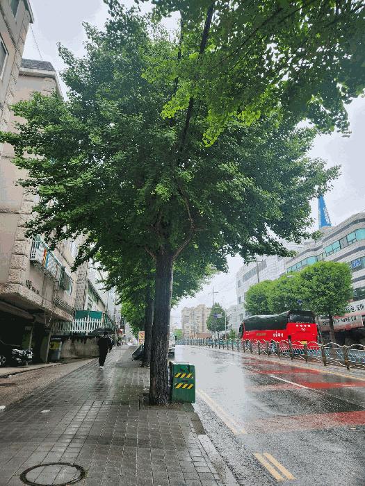 2025타경33403 법원경매 사진2 | 부천 원미구 다세대 경매