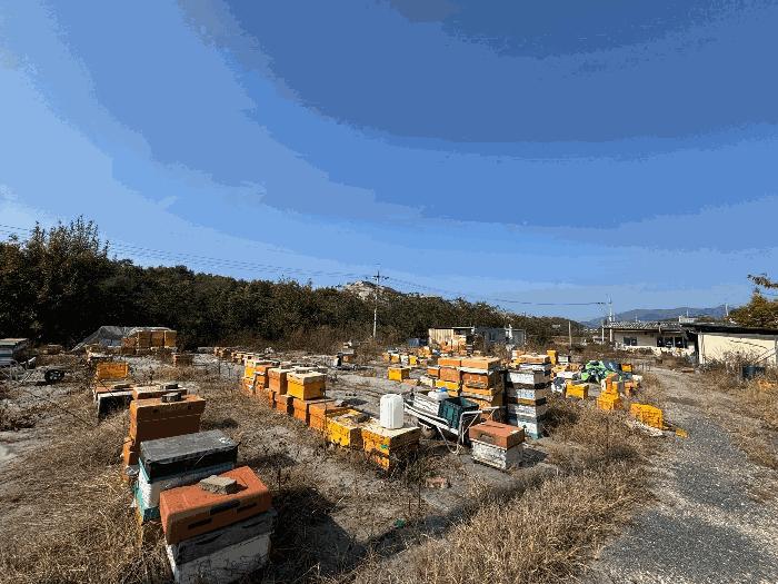 법원경매 2025타경1160 사진2 | 영천시 화산면 연계리 453 전답 경매