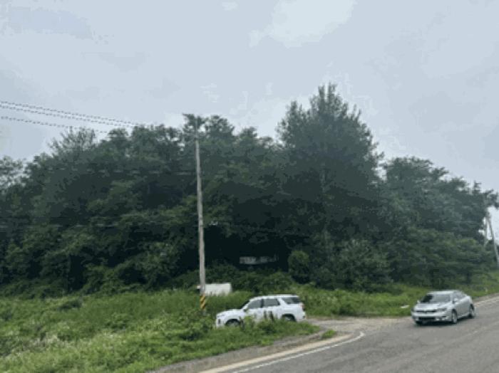 법원경매 2025타경3339 사진4 | 파주시 적성면 객현리 임야 경매