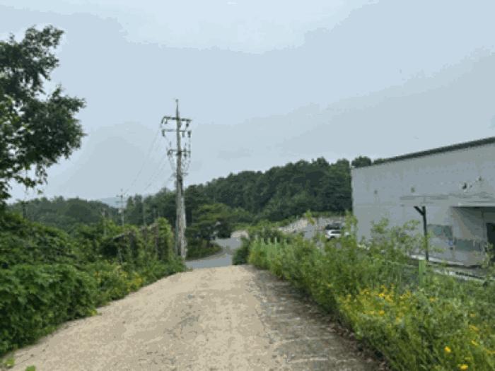 법원경매 2025타경3339 사진6 | 파주시 적성면 객현리 임야 경매