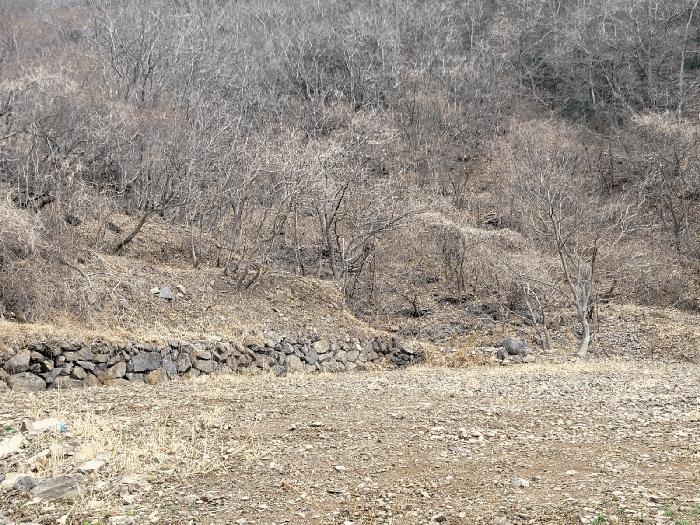 2025타경914 법원경매 사진4 | 경남 양산시 임야 경매