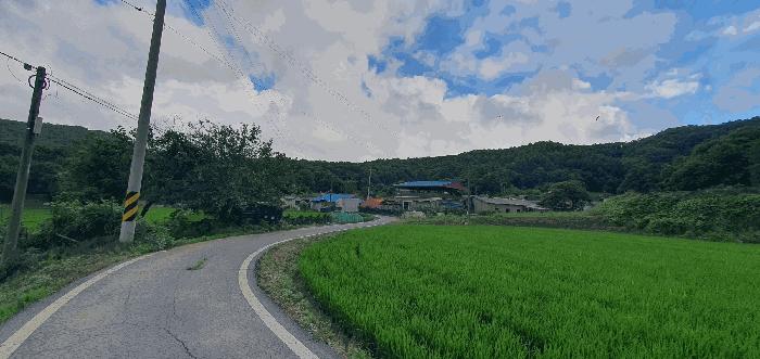 법원경매 2025타경63408 사진4 | 파주시 법원읍 금곡리 406-2 대지 경매