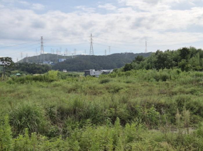 2025타경1322 법원경매 사진4 | 울산 울주군 임야 경매
