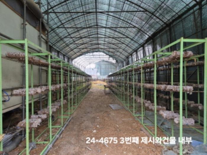 법원경매 2024타경4675 사진11 | 부산 강서구 대저1동 1180 답 경매