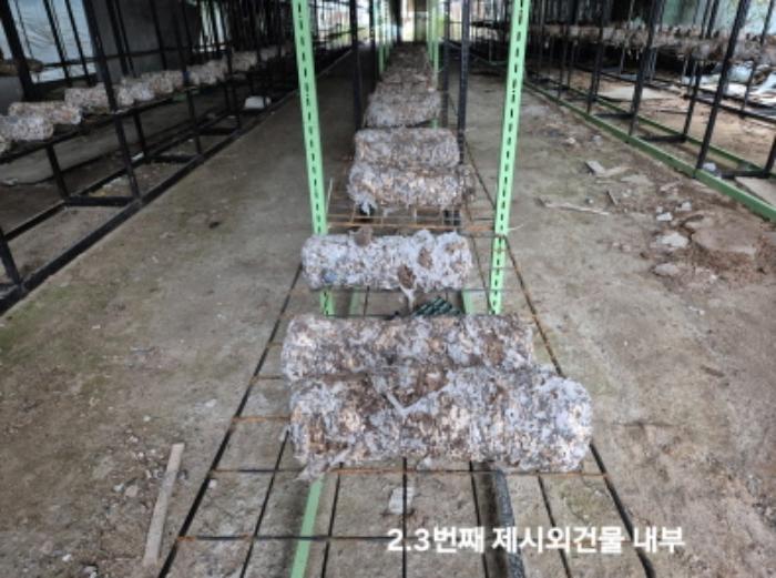 법원경매 2024타경4675 사진12 | 부산 강서구 대저1동 1180 답 경매