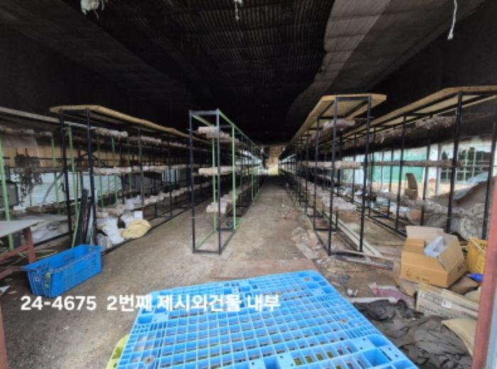 법원경매 2024타경4675 사진16 | 부산 강서구 대저1동 1180 답 경매