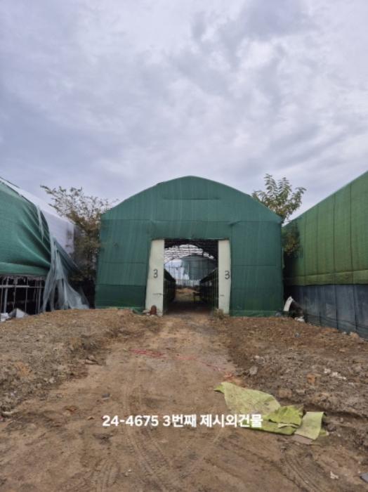 법원경매 2024타경4675 사진17 | 부산 강서구 대저1동 1180 답 경매