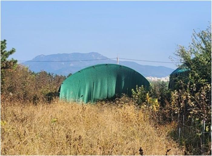 법원경매 2024타경4675 사진2 | 부산 강서구 대저1동 1180 답 경매