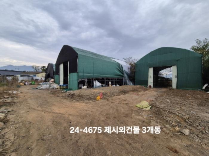 법원경매 2024타경4675 사진9 | 부산 강서구 대저1동 1180 답 경매