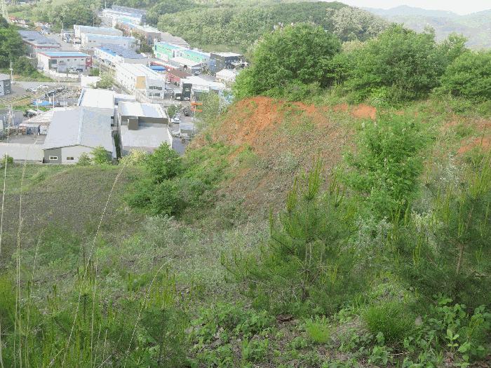 2025타경1097 법원경매 사진8 | 경기 화성시 과수원 경매