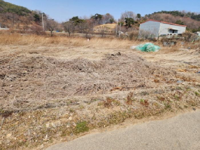 법원경매 2025타경54747 사진7 | 화성시 서신면 전곡리 403-1 답 경매
