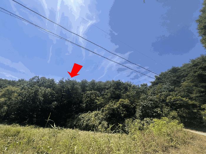 강원특별자치도 삼척시 근덕면 상맹방리 산127 법원경매 물건 대표사진
