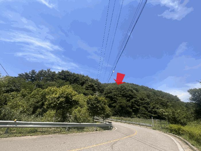 법원경매 2025타경229 사진2 | 삼척시 근덕면 임야 경매