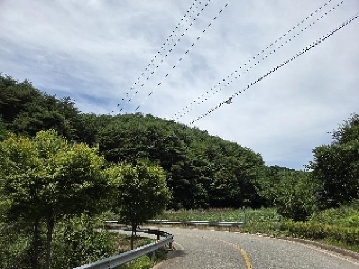 법원경매 2025타경229 사진4 | 삼척시 근덕면 임야 경매