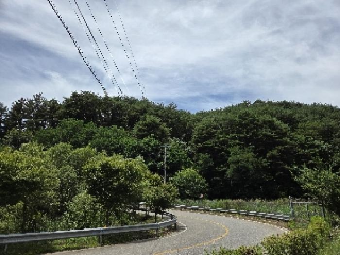 법원경매 2025타경229 사진5 | 삼척시 근덕면 임야 경매