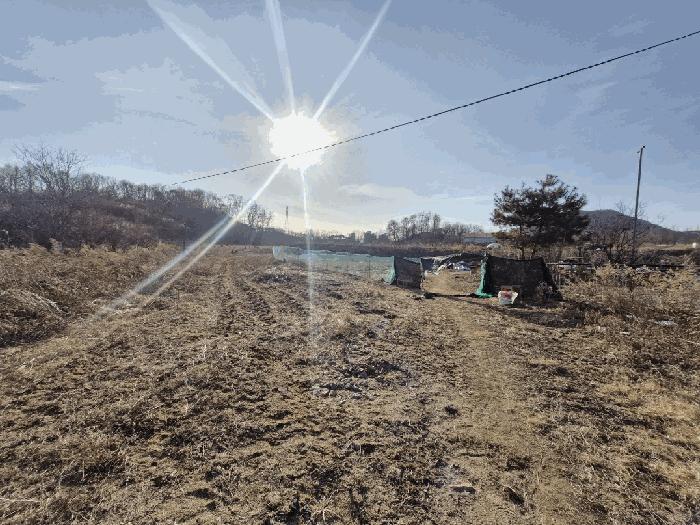 법원경매 2023타경305204 사진10 | 원주시 무실동 127-2 답 경매