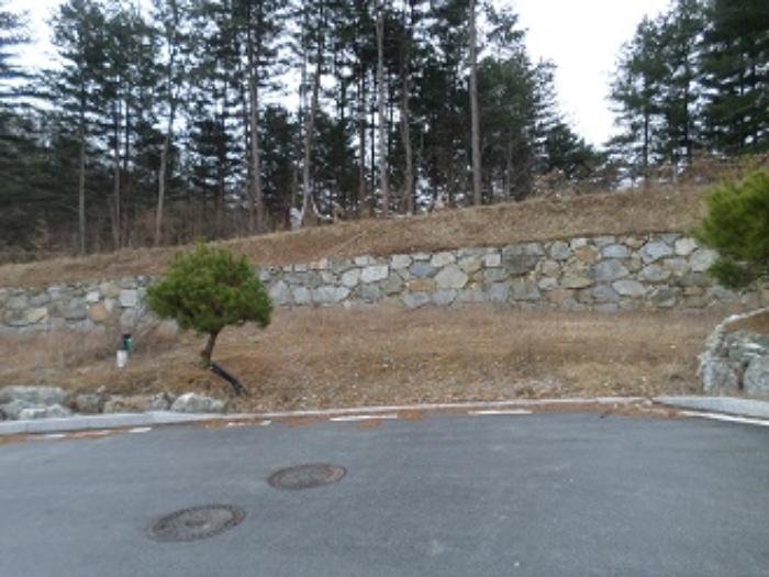 법원경매 2024타경315 사진17 | 원주시 지정면 가곡리 1033-6 대지,임야,전답 경매