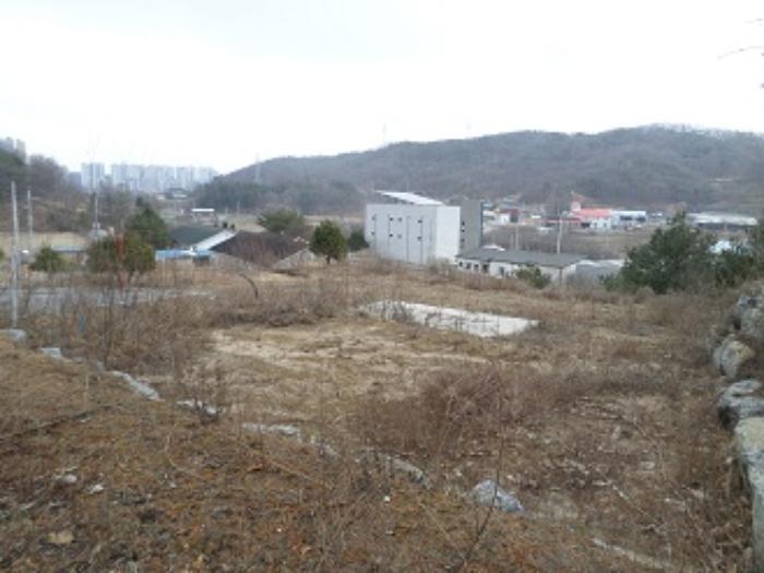 법원경매 2024타경315 사진20 | 원주시 지정면 가곡리 1033-6 대지,임야,전답 경매