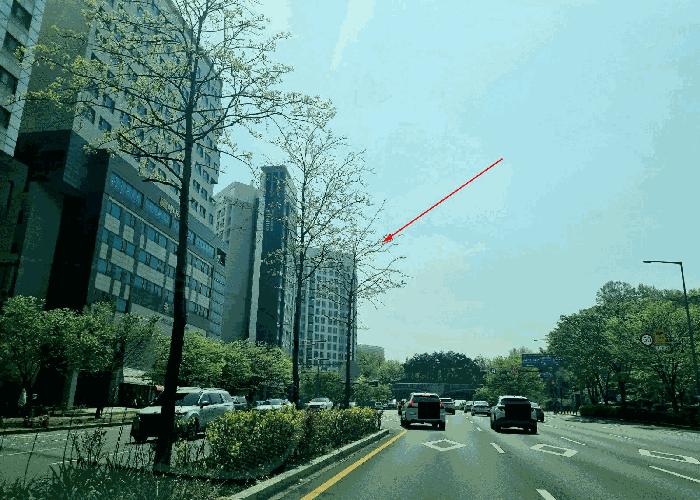 2025타경1138 법원경매 사진6 | 수원 영통구 오피스텔 경매
