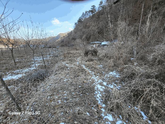 충청남도 논산시 벌곡면 사정리 399 법원경매 물건 대표사진