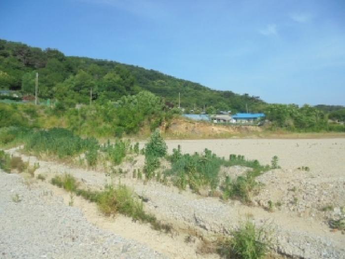 2025타경423 법원경매 사진15 | 충남 부여군 공장용지 경매