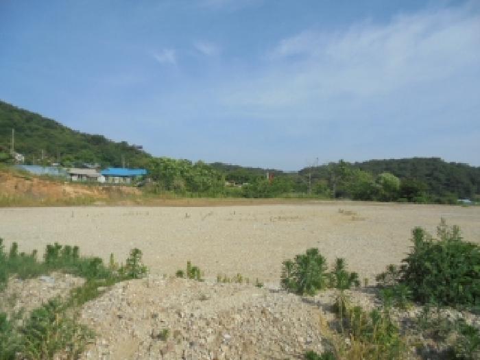 2025타경423 법원경매 사진17 | 충남 부여군 공장용지 경매