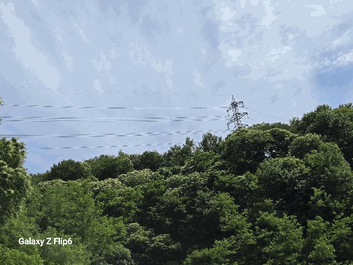 2025타경423 법원경매 사진2 | 충남 부여군 공장용지 경매