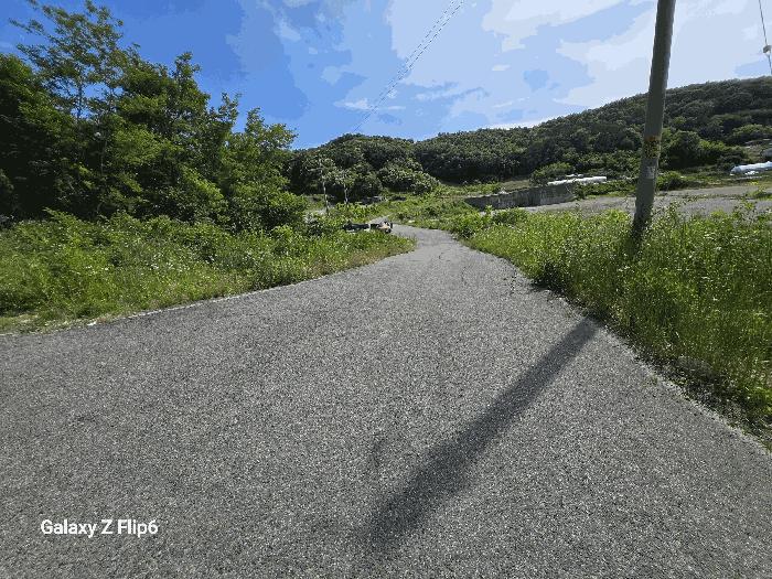 2025타경423 법원경매 사진4 | 충남 부여군 공장용지 경매