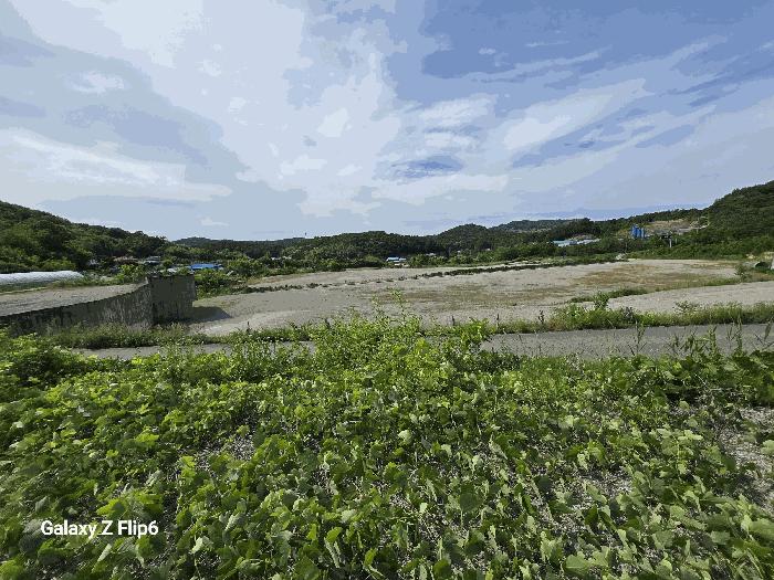 2025타경423 법원경매 사진5 | 충남 부여군 공장용지 경매